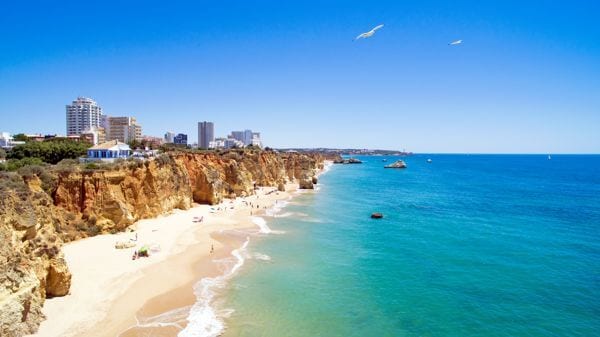 praia da rocha beach view a cross the clifs and yellow sand with seagulls overhead