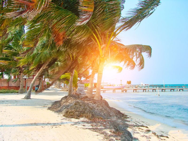 A yellow sand beach in Belize. move to belize