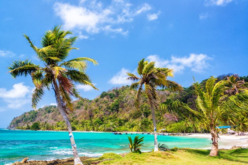 Palm trees in front of green sea in Panama