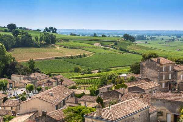 saint emilion france vinyard