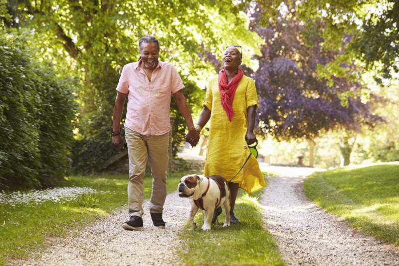 a senior couple walking their dog