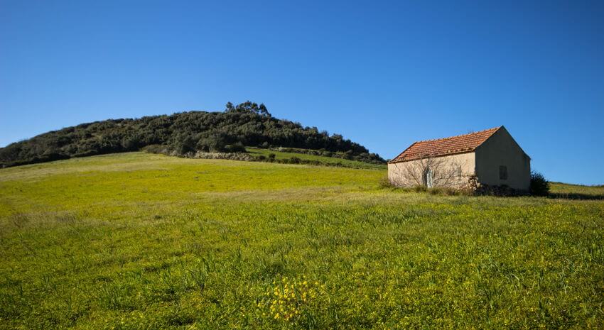 farmhouse in portugal, a small stone house in th emiddle of a green field and blue skies