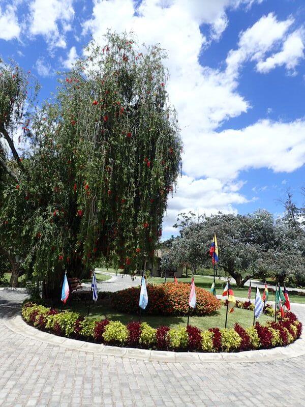 flag circle