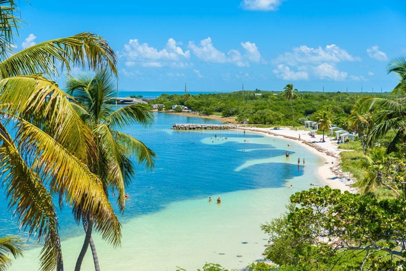 Why Lief Is Planning To Purchase A Beachfront Lots In Brazil