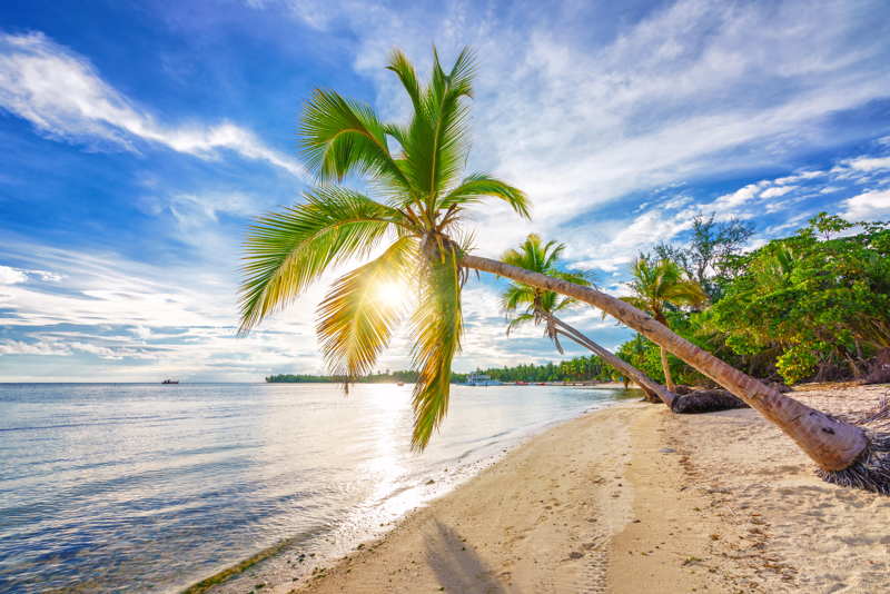 dominican republic beach in the morning