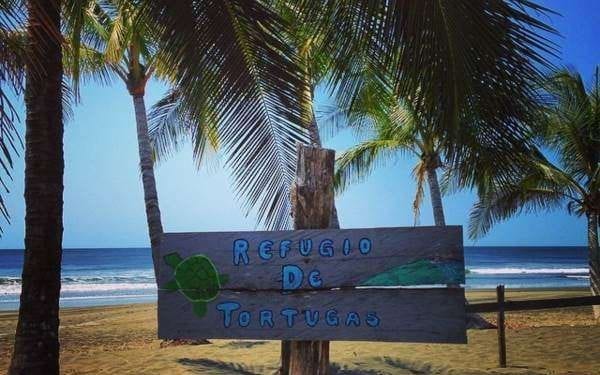 Morillo Beach turtle sign