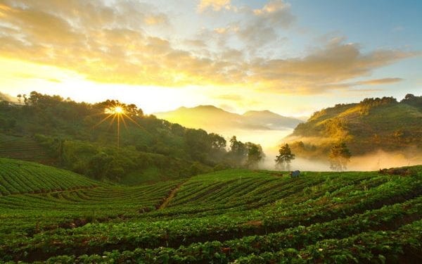 best Place To Retire In Thailand. Chiang Mai beautidul agricultural landscape
