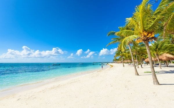 Akmal beach palm trees, white sand and blue sea
