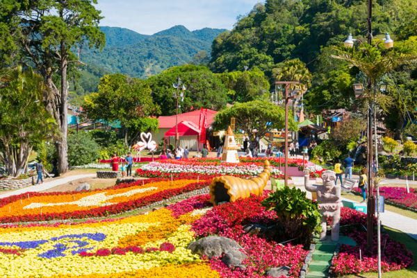 Boquete flower show Panama. Boquete is one of the most famous expat mountain towns in Panama