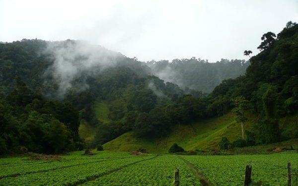 Cerro punta mountain town in panama