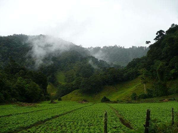 Cerro punta mountain town in panama