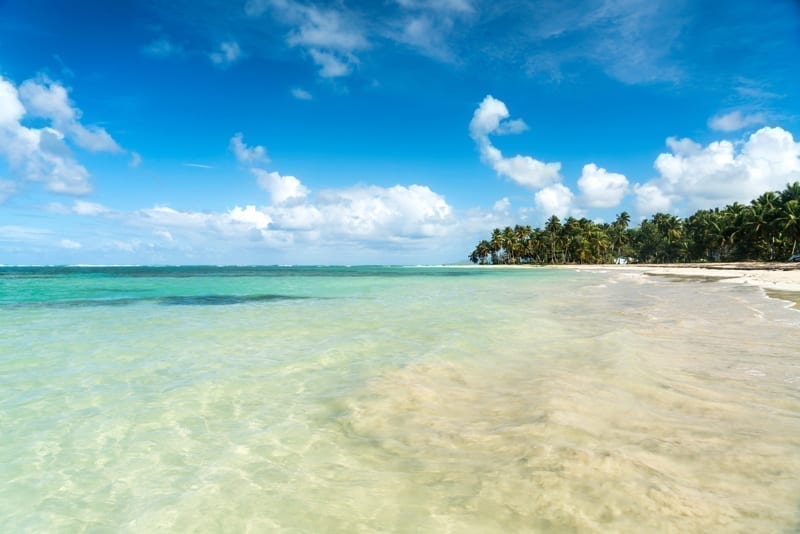 Palm fringed sandy beach of El Portillo, Las Terrenas