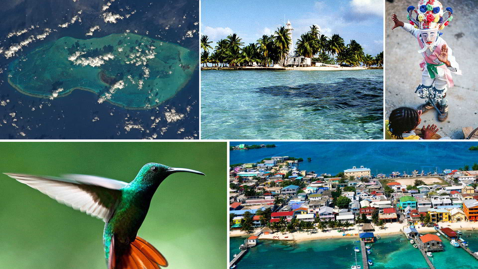 Nature images from across Belize. belize gallery
