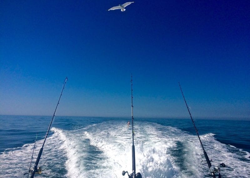 offshore fishing