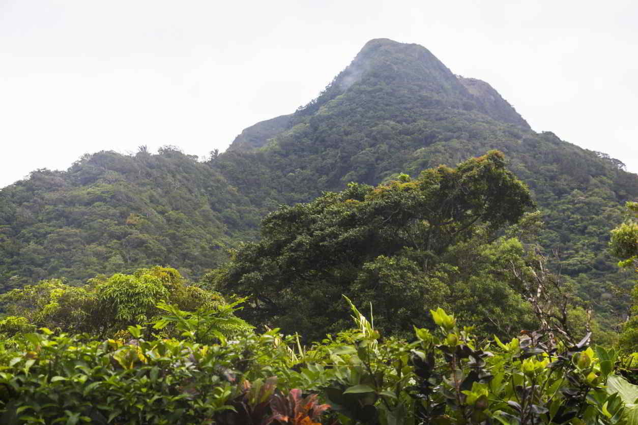 The 5 Best Mountain Towns In Panama For Expats