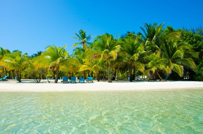 white sand beach in belize tropical