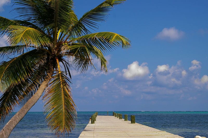 ambergris caye belize