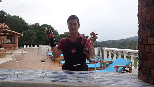 Wine tasting on the terrace