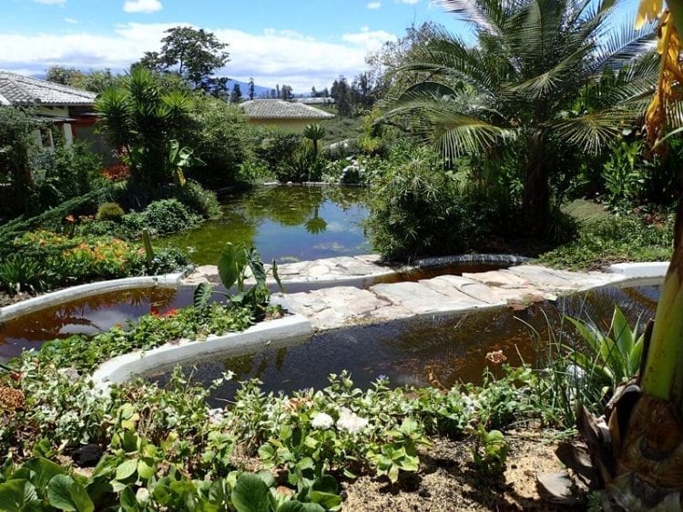 cascading pool in ecuador