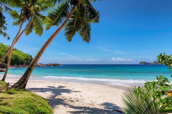 paradise beach mexico