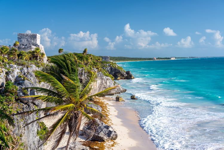 Tulum ruins and palm trees