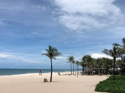 brazil beach view