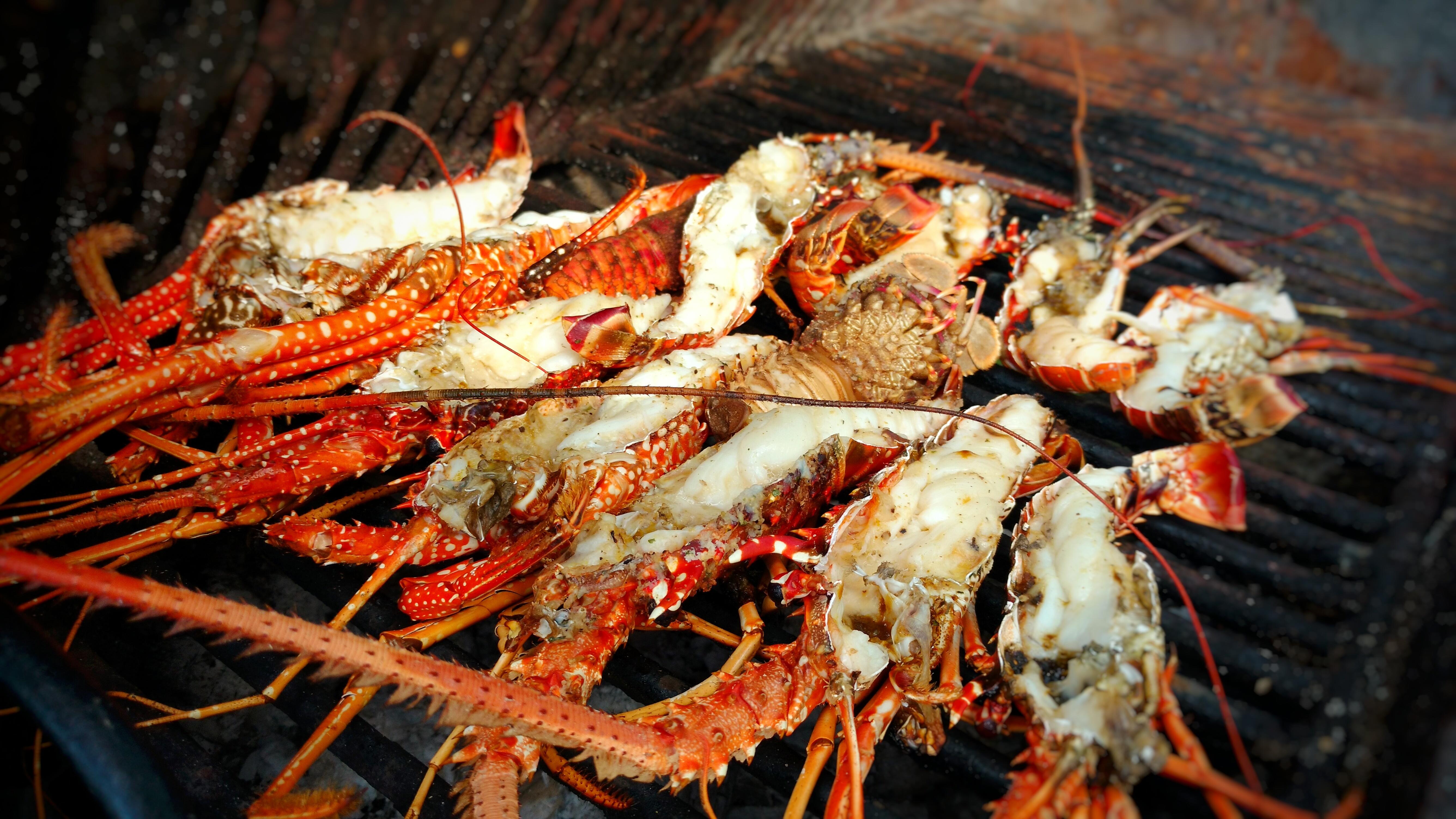 lobsterfest belize