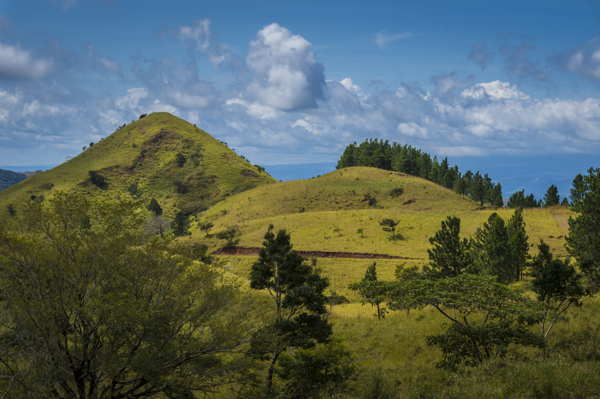 countryside