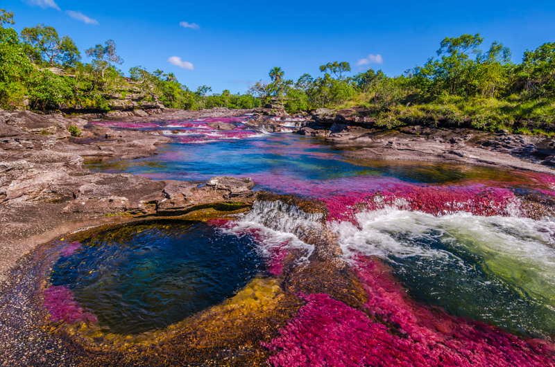 crystal river in Colombia