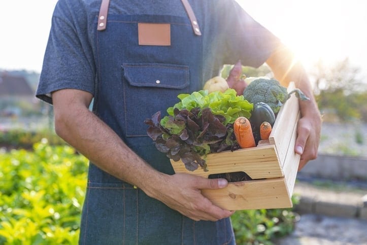 fresh produce