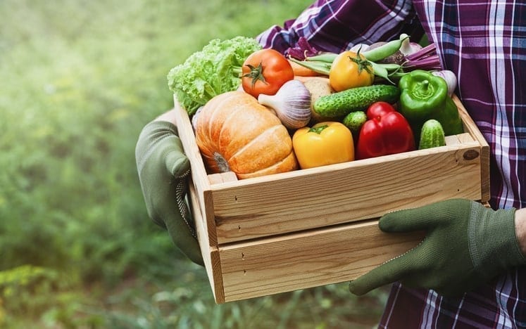 fresh produce