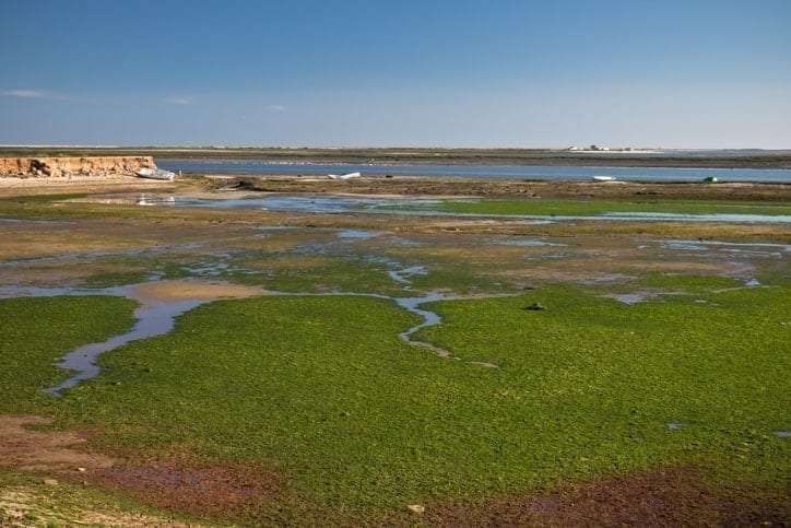 Ria Formosa natural park