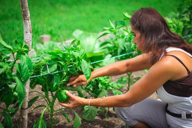 A girl gardening in Carmelita Gardens, Belize