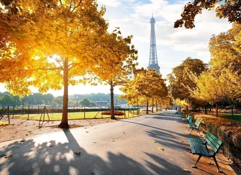 Sunny morning and Eiffel Tower in autumn, Paris, France.