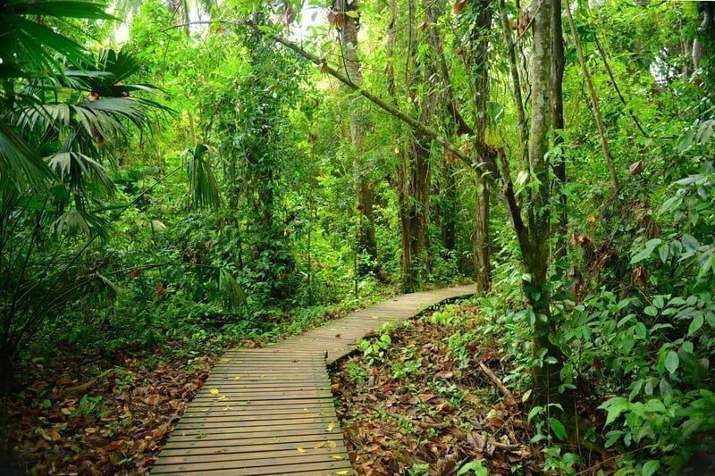Tayrona National Park, Colombia
