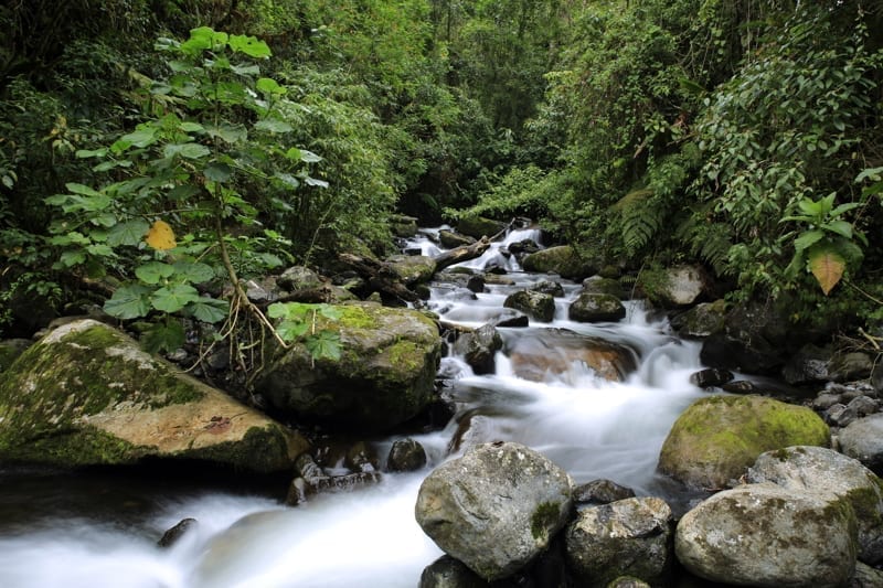 Cerro Punta, Boquete, Panama. 