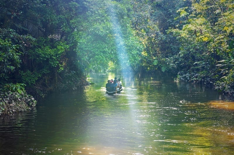 A group of tourists in a traditional canoe at Yasuni National Park, Ecuador