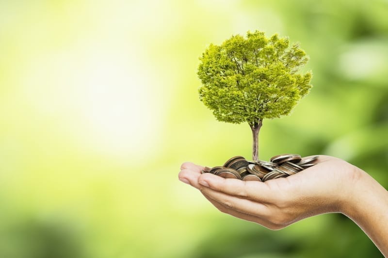 Hand holding coins and tree look like as planting. Good investment concept. property overseas