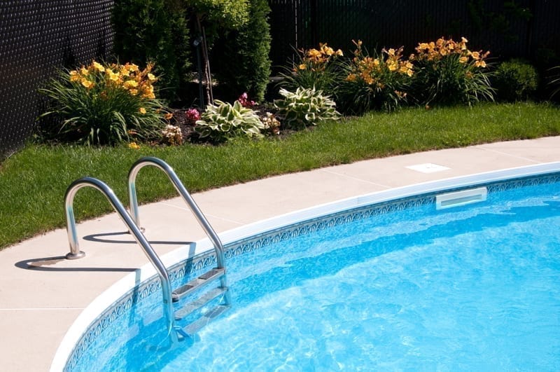 Curve side of a pool with stairs and flowers in the background.