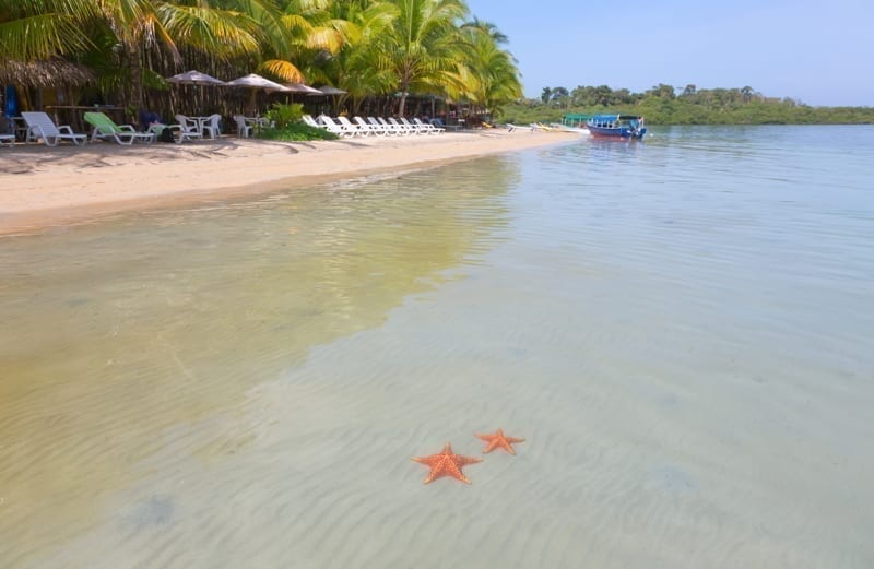 Bocas Del Toro, Panama. Deserted Starfish beach on the archipelago Bocas del Toro, Panama.