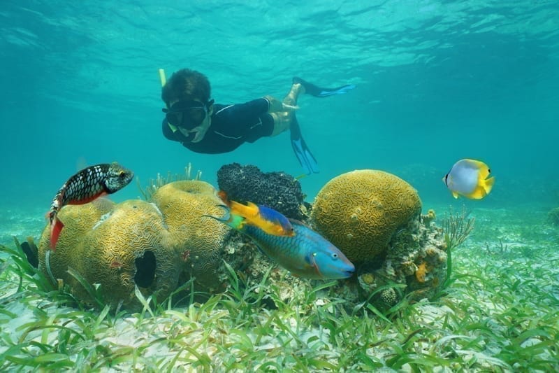 Man snorkeling underwater looking coral with tropical fish. 