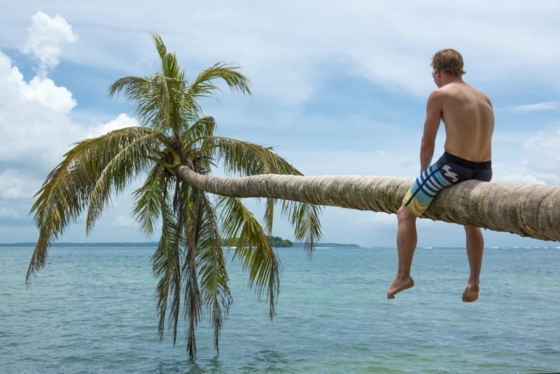 Young man sitting on a palm tree on a holiday to the Caribbean islands of Panama. 