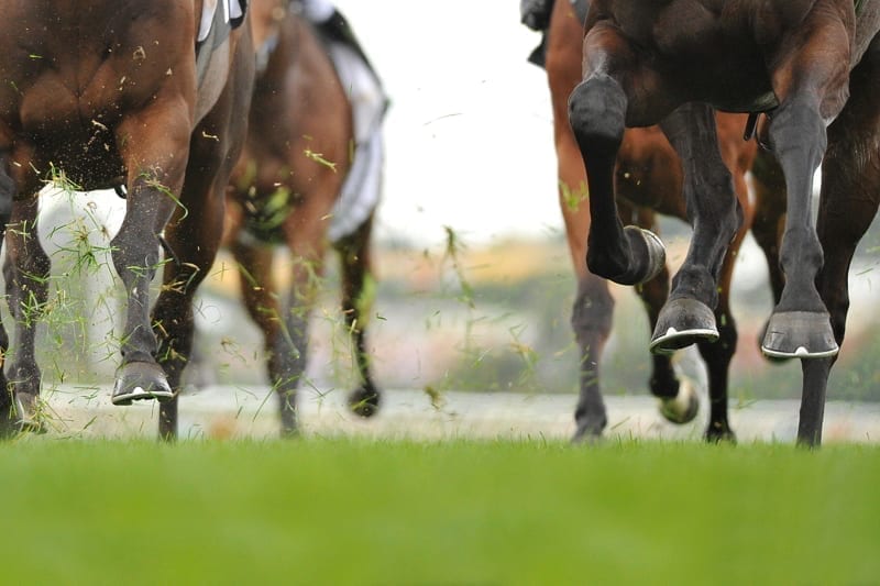 Horse racing action, hooves, legs and grass flying