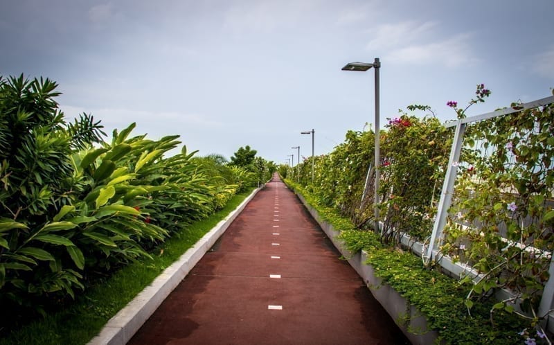Bicycle lane and a jogging path surrounded by green in Cinta Costera - Panama CitYy, Panama. 