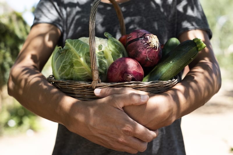 Man with a rustic basket full of vegetables freshly collected