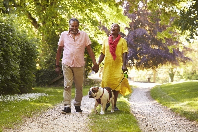 Senior Couple Walking With Pet Bulldog. retire overseas retire in mexico
