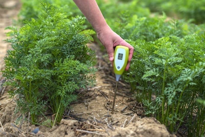Measure soil with digital device.
