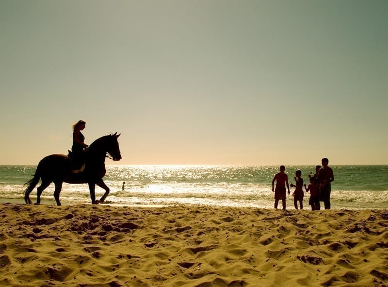 Horseback riding