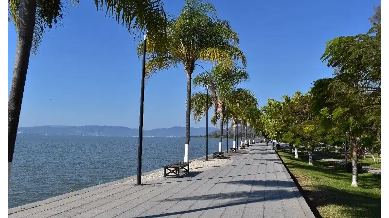A peaceful lakeside promenade lined with palm trees, offering scenic waterfront views and a relaxing atmosphere perfect for a leisurely stroll.