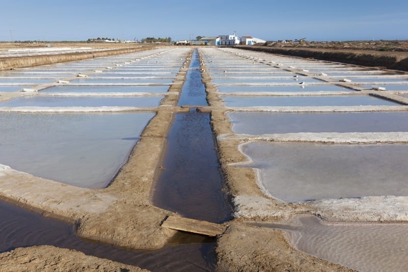 Salt Pans, Tavira, Portugal